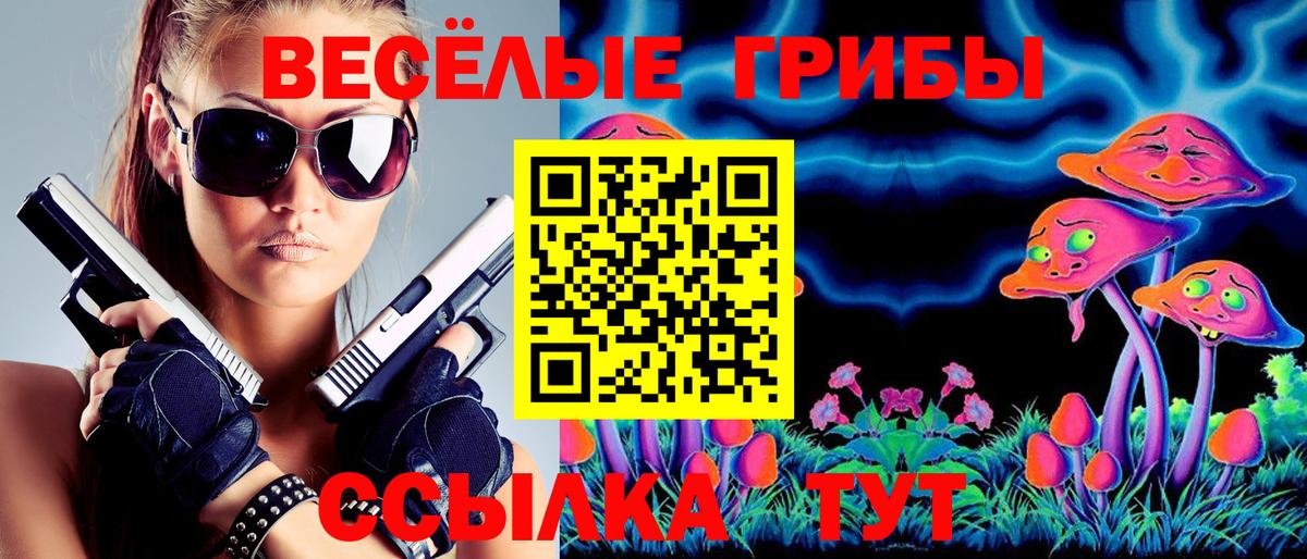 Гай  Псилоцибиновые грибы Psilocybine cubensis  Вход с VPN 