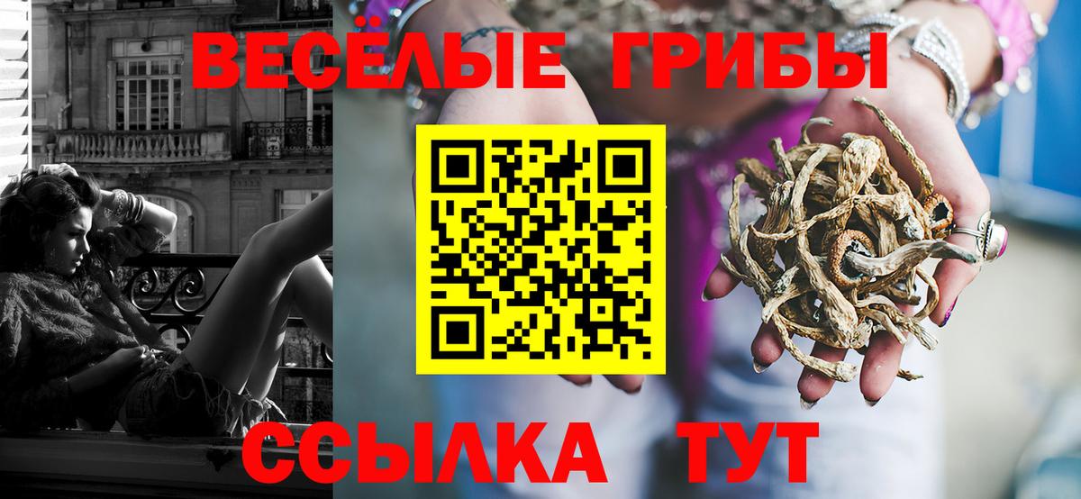 Псилоцибиновые грибы прущие грибы Гай
